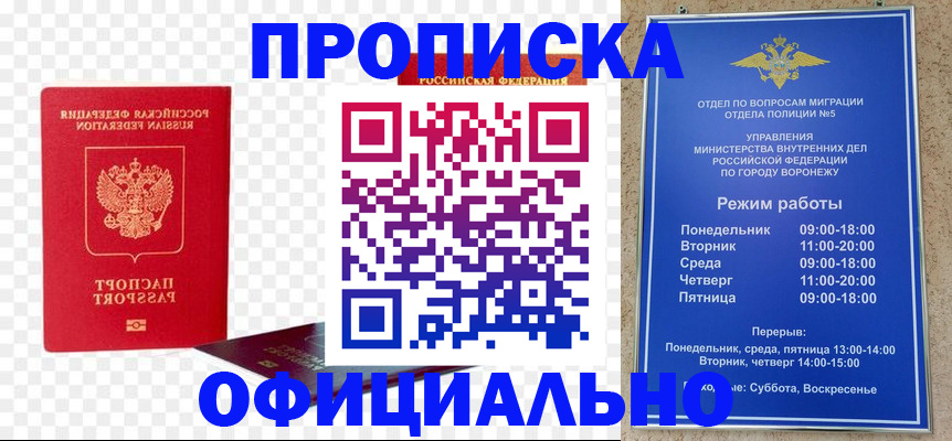 прописка иностранных граждан в Шатуре